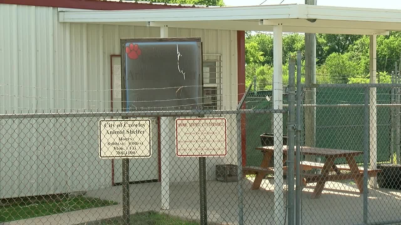 Crowley Mayor addresses animal shelter concerns