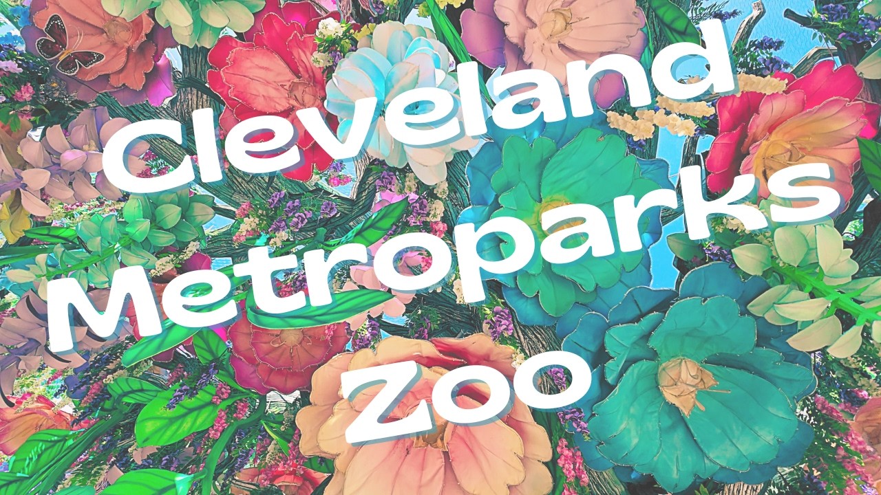 A day at the Cleveland Metroparks Zoo