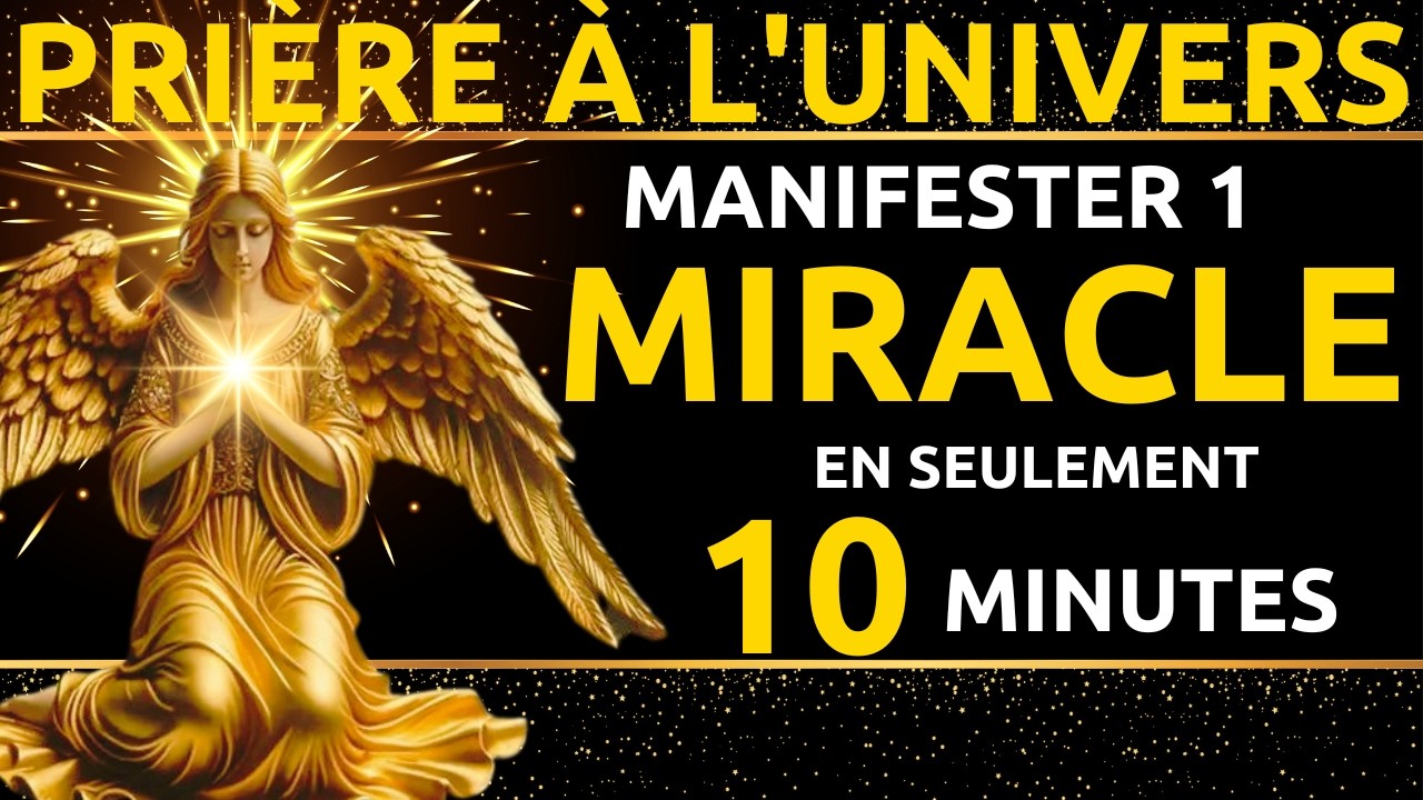 Connectez-vous à l'Univers maintenant : activez l'abondance et le succès en 10 minutes !