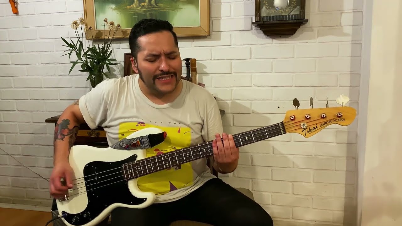 Fall Out Boy - Homesick At Space Camp (Bass Cover)