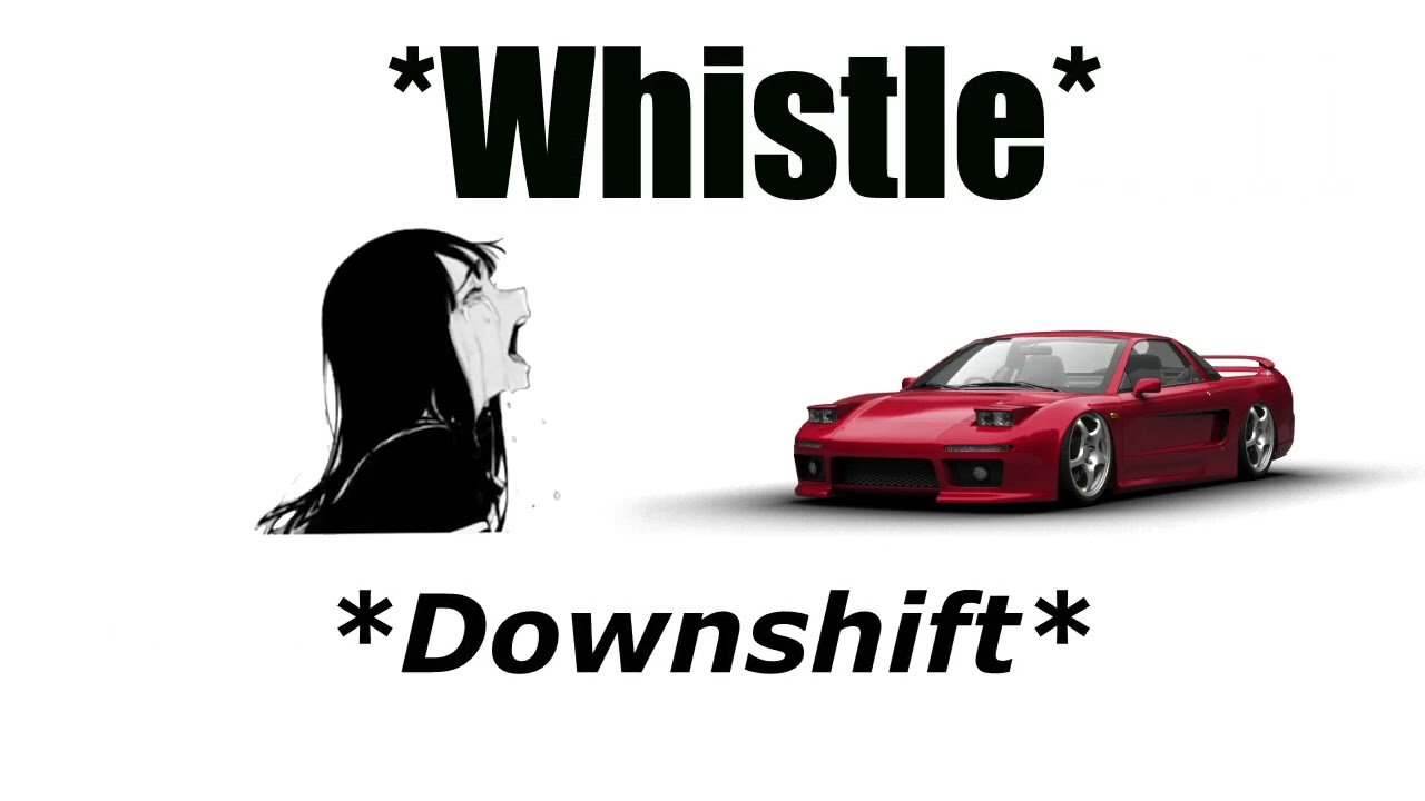 STOP SAYING DUMBASS THINGS NSX
