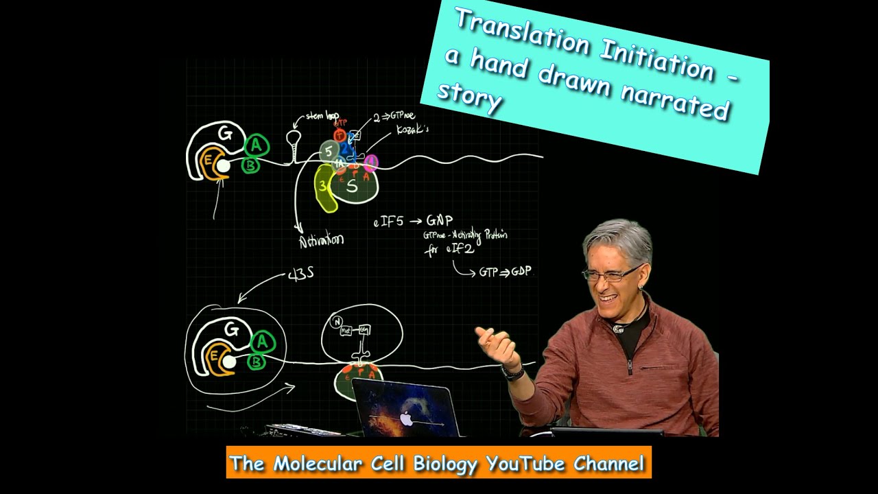 Translation Initiation   A hand drawn narrated story