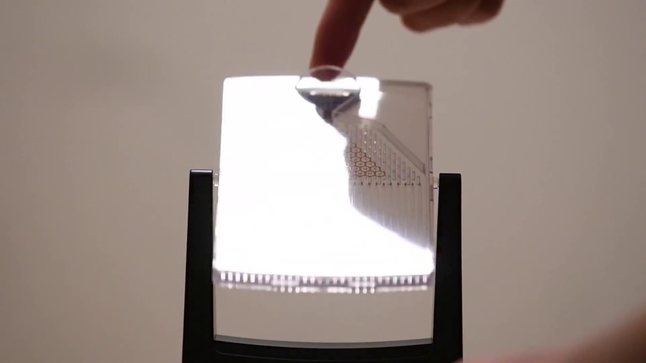 Galton Board in slow motion