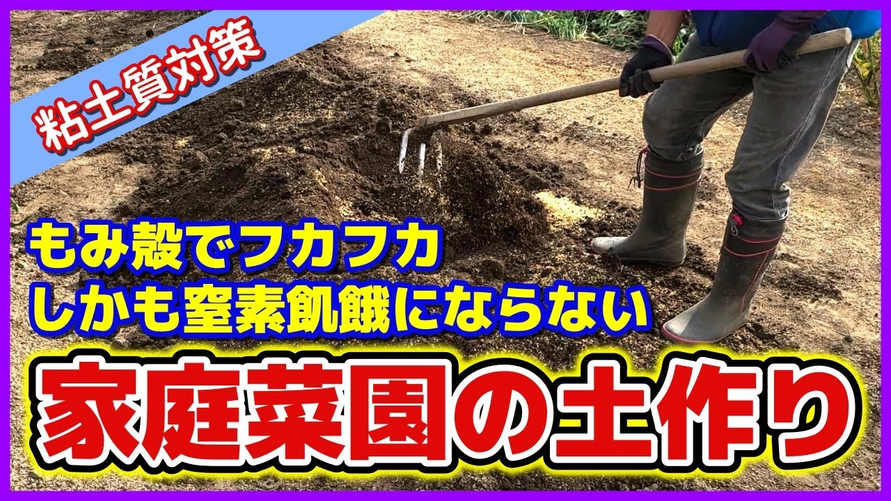 【家庭菜園の土作り】窒素飢餓にならない籾殻の入れ方／秋の土作り／根張りを良くする土づくり／もみ殻やもみ殻燻炭で粘土質土壌対策