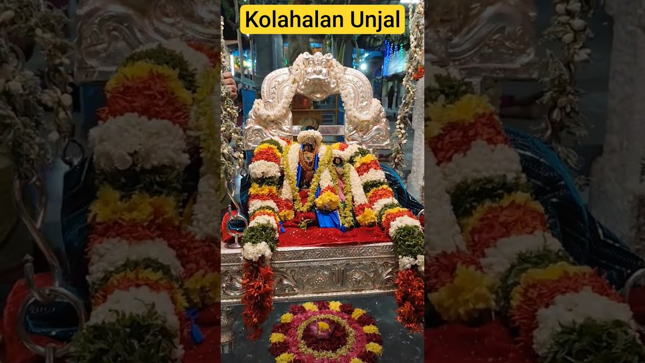 Kolahalan Unjal  -  Sadguru Sri Hari Ji Maharaj - Paranur Brahmotsavam 2025 #srihariji