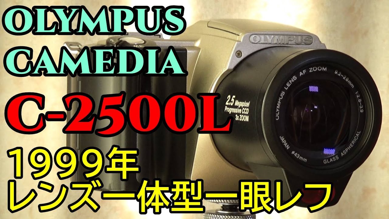 【ジャンク】540円 CAMEDIA C-2500L 動作確認・作例 CAMEDIAだけど一眼レフカメラ