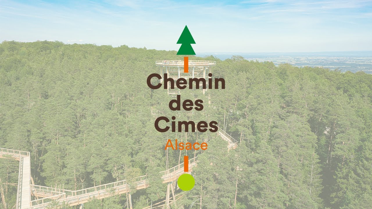 Chemin des Cimes Alsace - Baumwipfelpfad Elsass