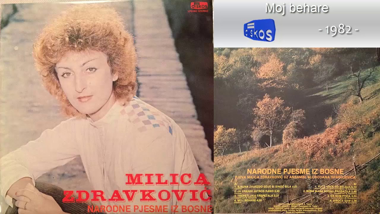 Milica Zdravkovic - Moj behare - (Audio 1982)