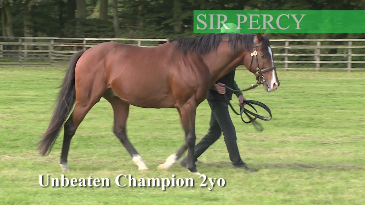 Sir Percy