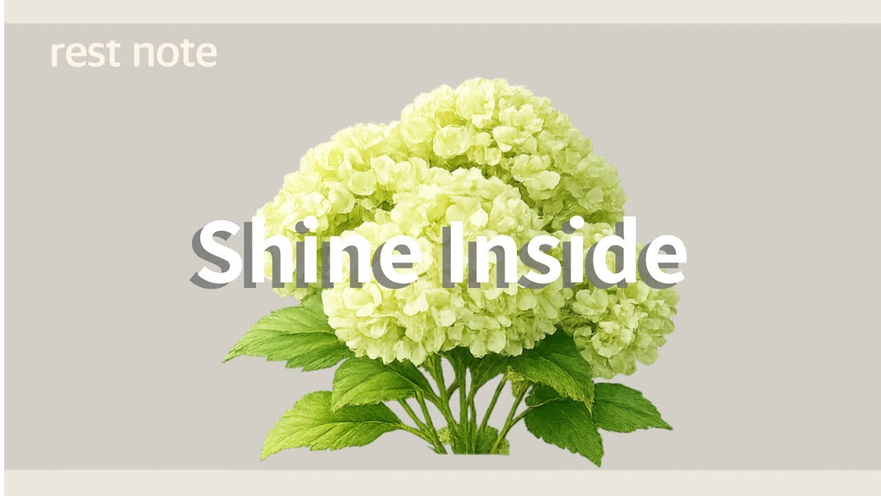 Shine Inside｜内側から輝こう｜Playlist Chill house