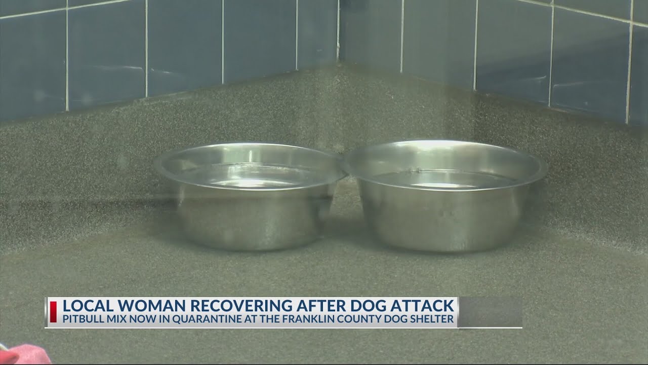 Columbus woman recovering from dog attack