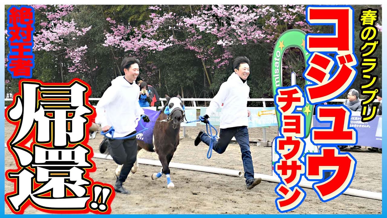 【コジュウチョウサン】春のグランプリでまさかの敗戦！？絶対王者が大ジャンプで帰還【東スポ競馬】