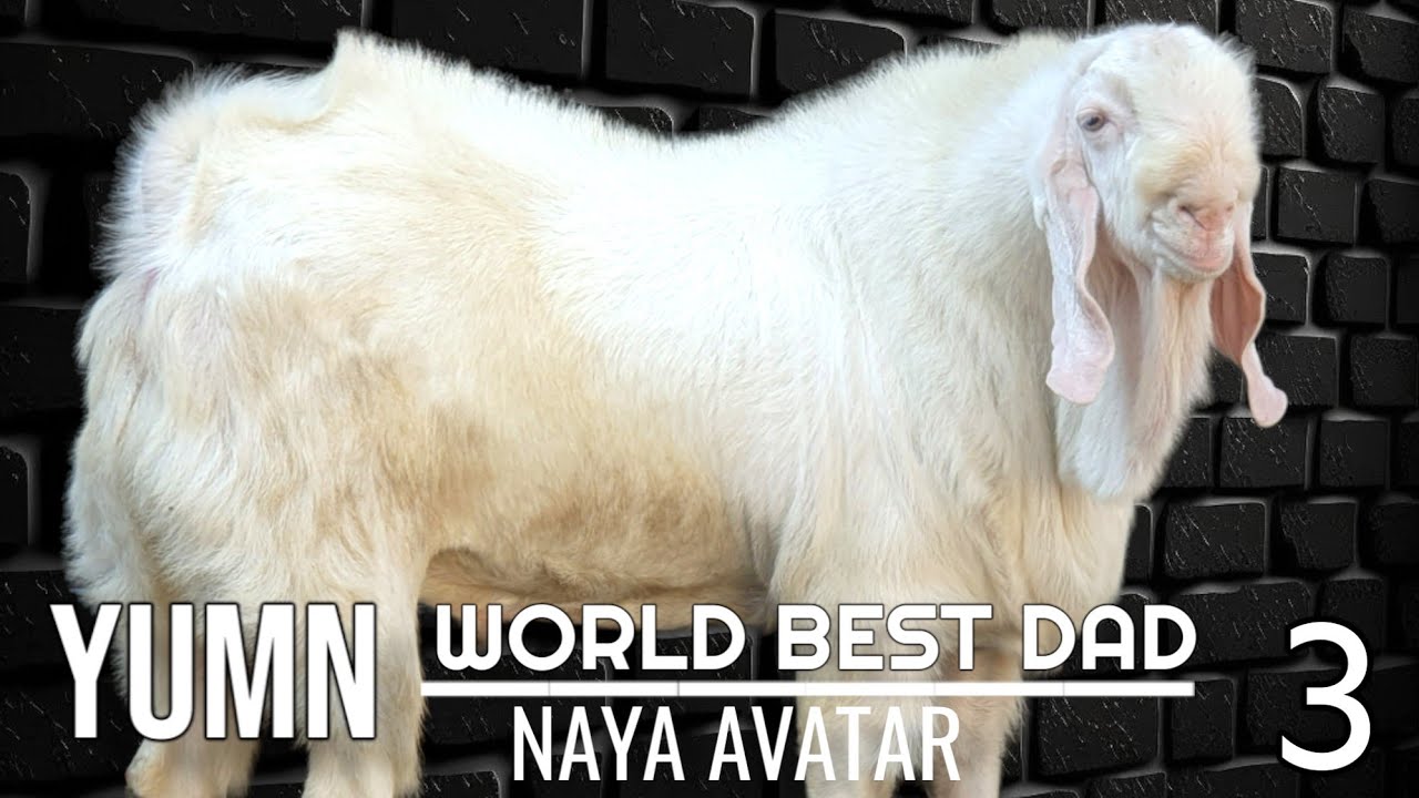 HAFEJI GOAT FARM | YUMN KA NAYA AVATAR | UNTOLD STORY MUST WATCH