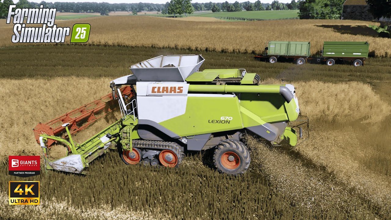 FS25 | Beautiful Canola-harvest | Claas Lexion 670 | ReShade Gameplay | 