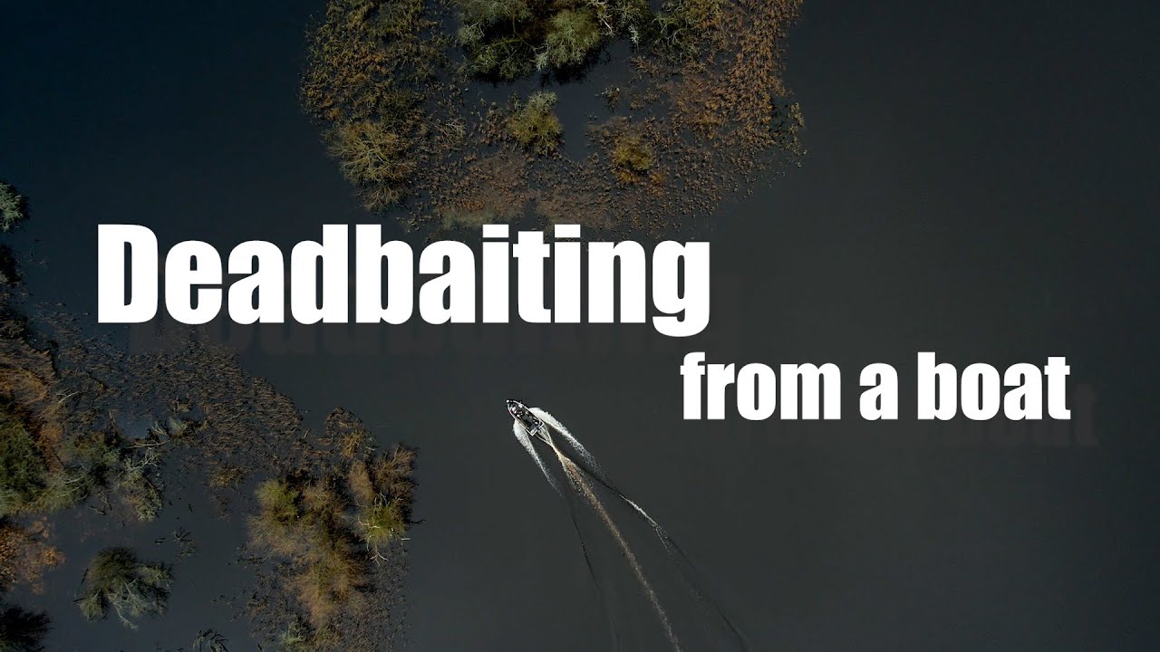 Deadbaiting for pike from a boat