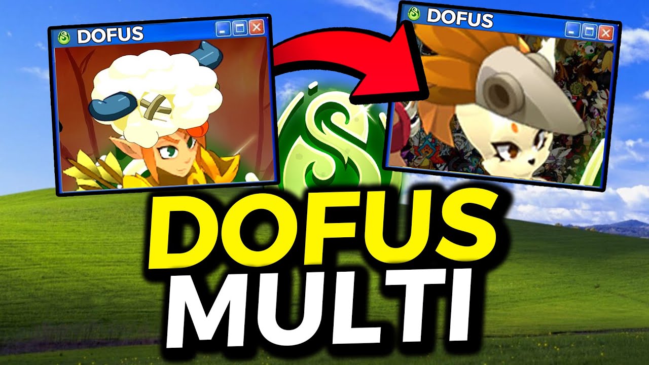 JOUER en TEAM sur DOFUS en 2025 (Fen&ecirc;tres, Options, Interface)