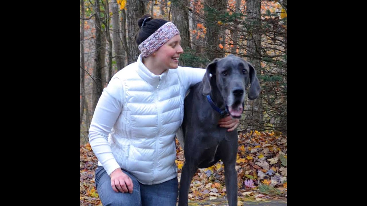 SPECIAL EPISODE: INTERVIEW WITH LINDSAY LEWCHUK OF KNIT ECO CHIC DESIGN