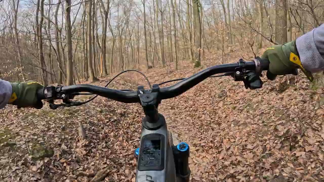2026. március 5. Kedvenc utam Kevély nyeregtől piroson le Csombánkáig