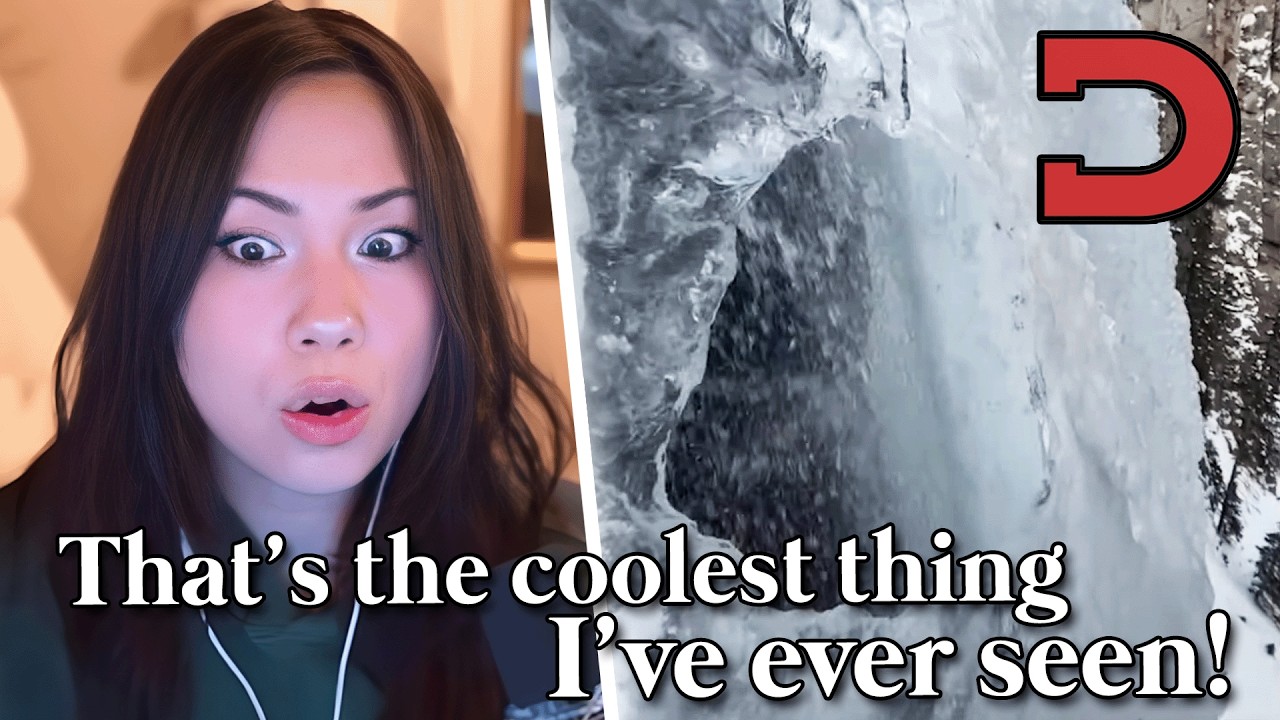 QuarterJade reacts to Daily Dose of Internet 