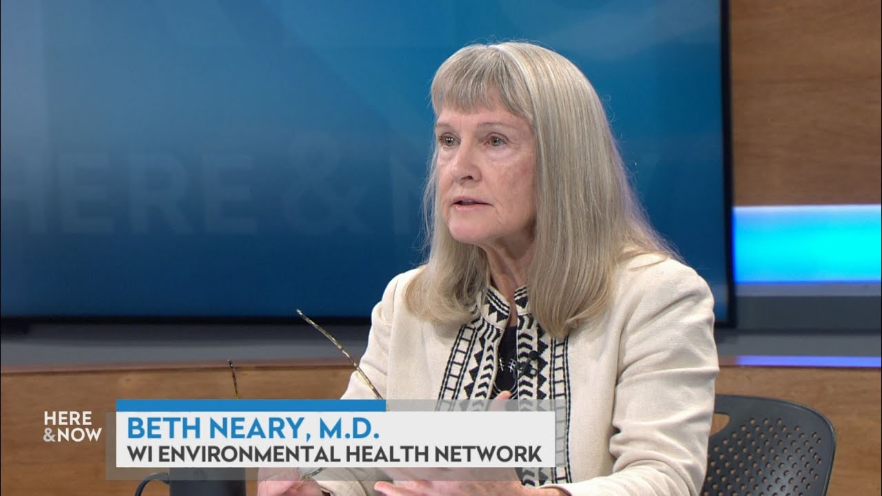 Dr. Beth Neary on blood lead levels tests for young children | Here & Now