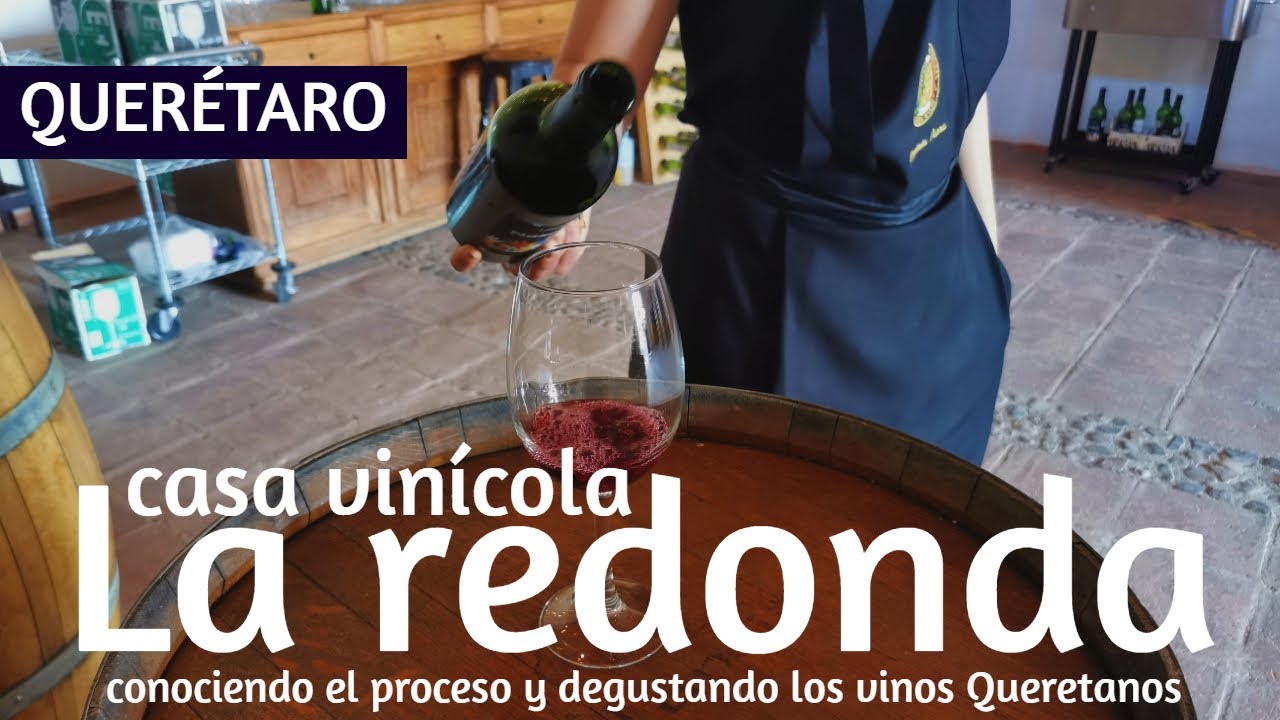 Conocimos el proceso para elaborar el vino en VI&Ntilde;EDOS LA REDONDA | QUER&Eacute;TARO M&eacute;xico | Mundo Ch&eacute;vez