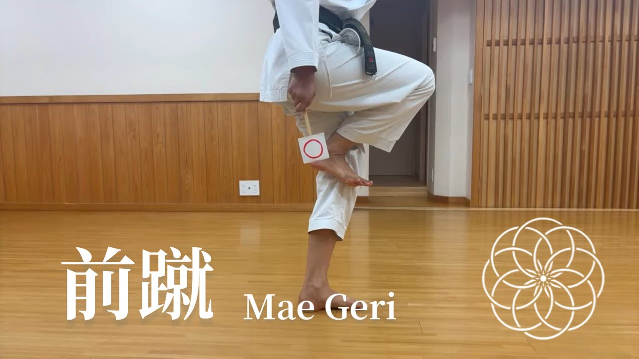 前蹴-MAE GERI