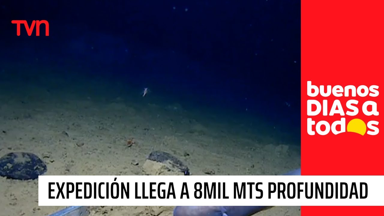 Un viaje que impacta al mundo: Expedición llega hasta los 8 mil metros de profundidad | BDAT