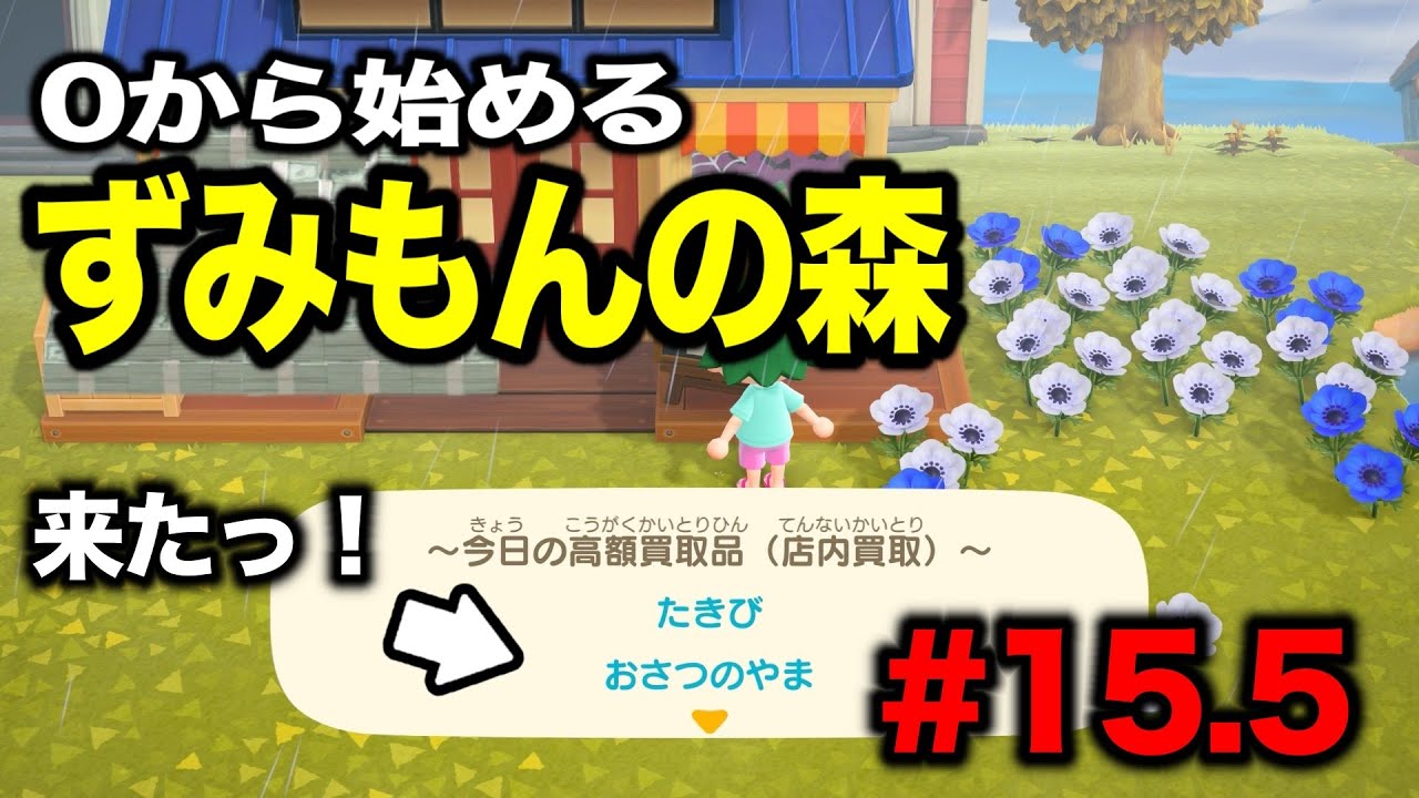 【ずみ森#15.5】え！？高額買取もう来た！？【あつまれ どうぶつの森】