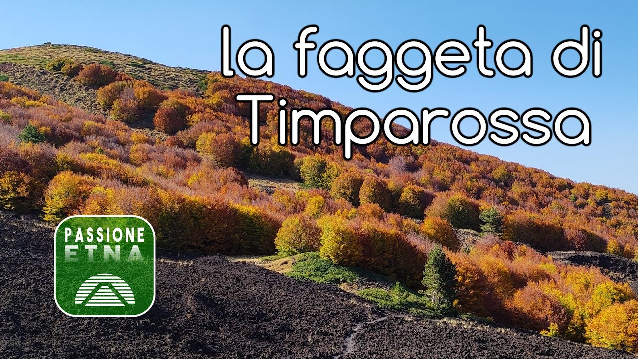 Etna - La faggeta e il Rifugio Timparossa (documentario autunno)