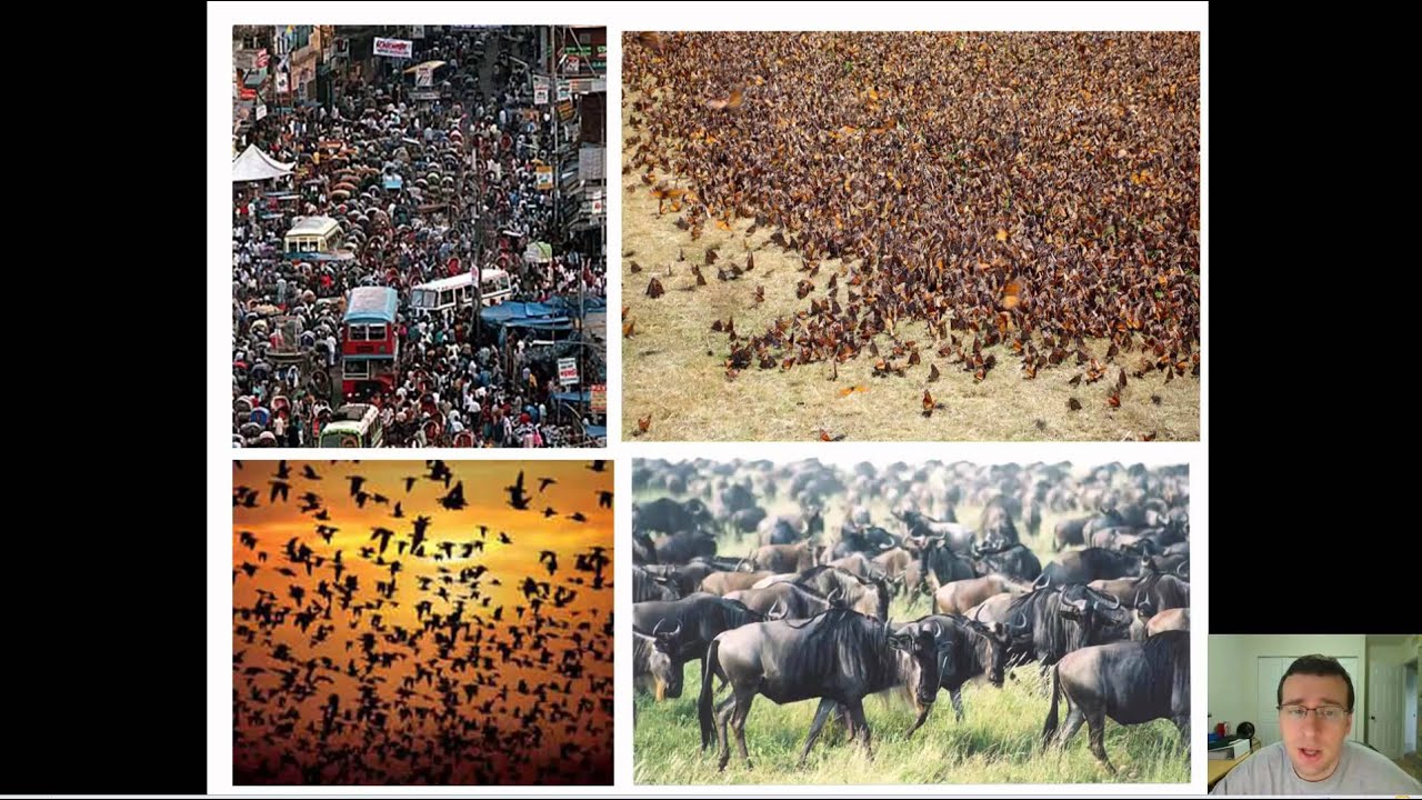 Introduction to Population Ecology