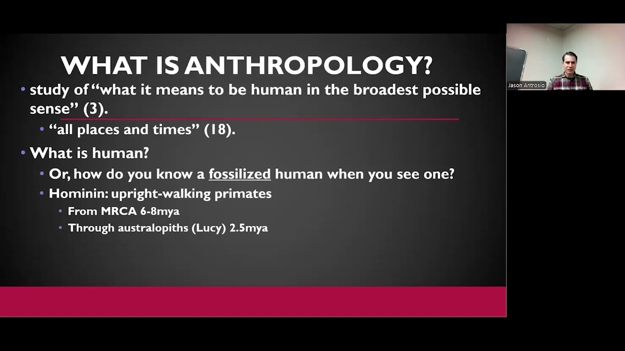 The Four Fields of Anthropology Explained as 