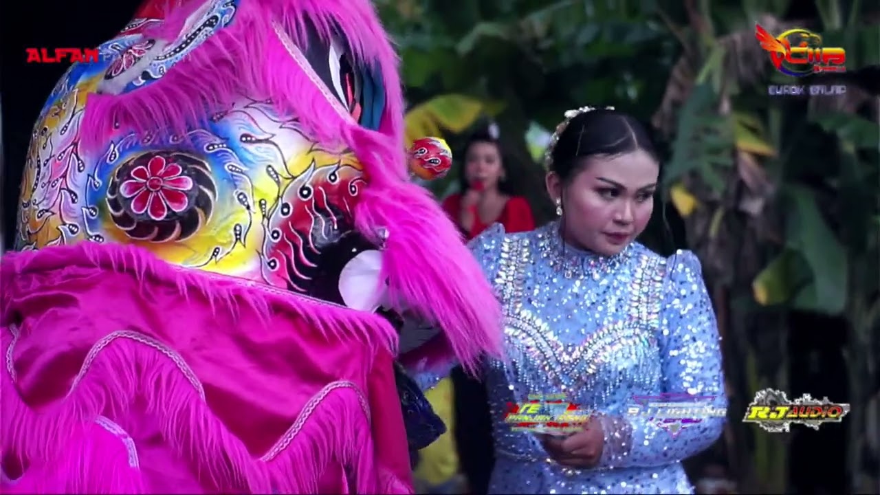 ATRAKSI BARONGSAI CNB BREW - LIVE BLOK CIBIUK DS.CANGKOAK KEC.DUKUPUNTANG KAB.CIREBON