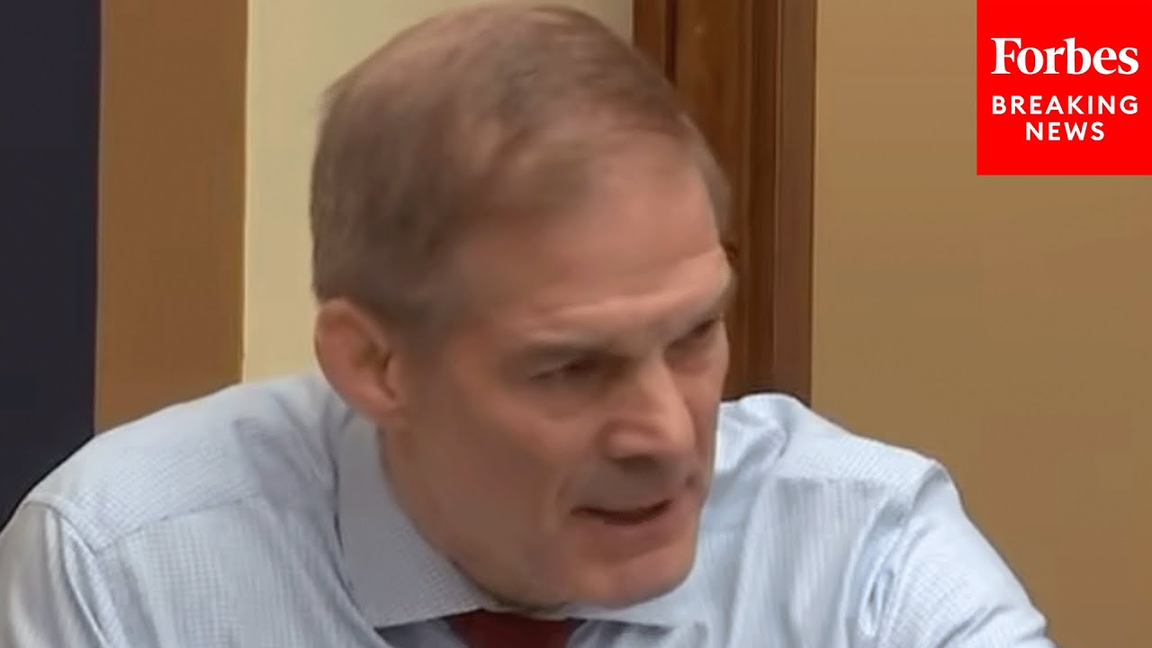 'Just Stuffing It Into Their Pockets': Jim Jordan Decries 'Decade-Long Scam' In Minnesota