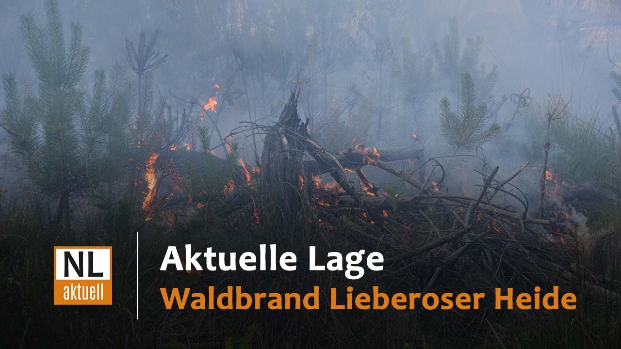 🔥🧑‍🚒🚒Waldbrand Lieberoser Heide | Eindruck 05.07.2022