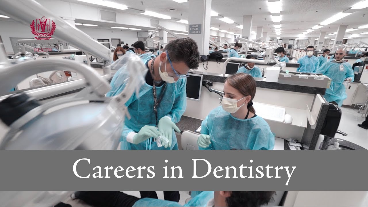 Careers in Dentistry Summer Program