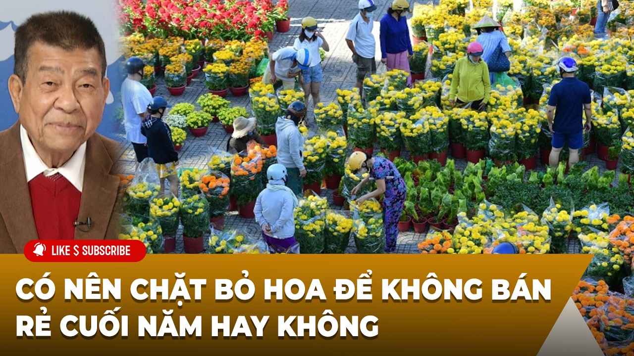 Tin Nổi Bật P1 (02-18-2026) Có nên chặt bỏ hoa để không bán rẻ cuối năm hay không