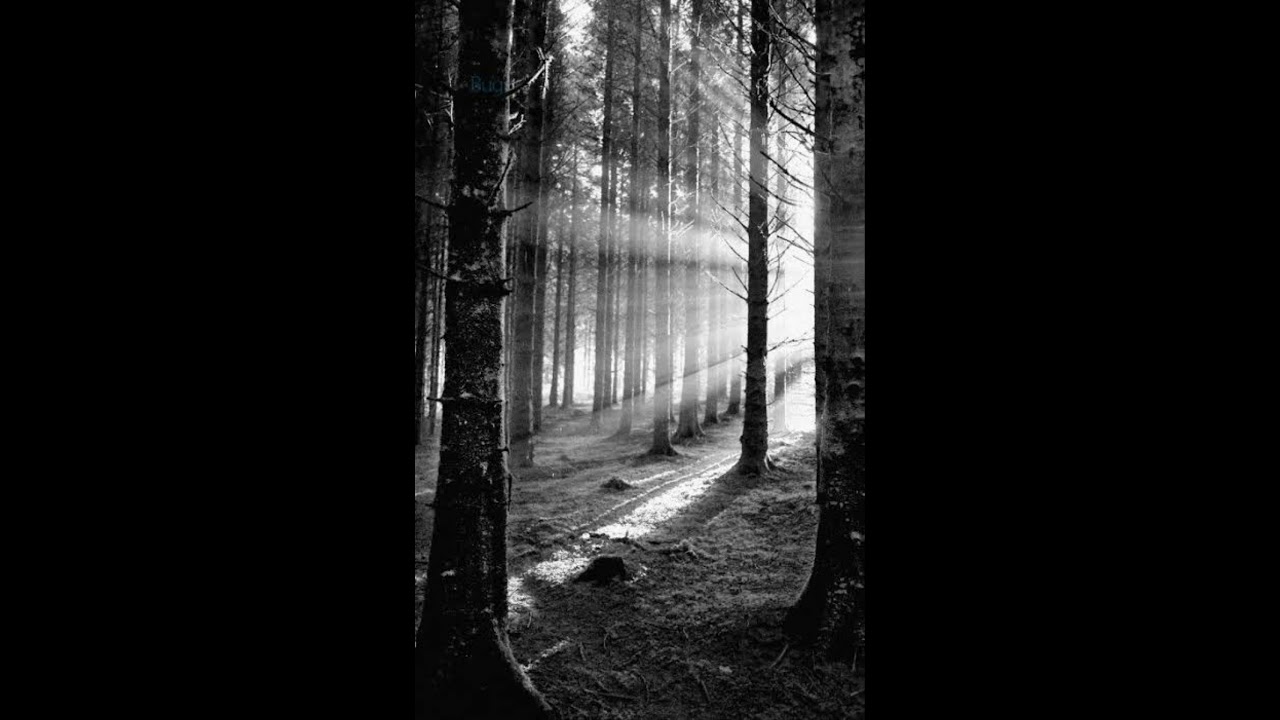 Lead Me Lord (slowed & reverb)