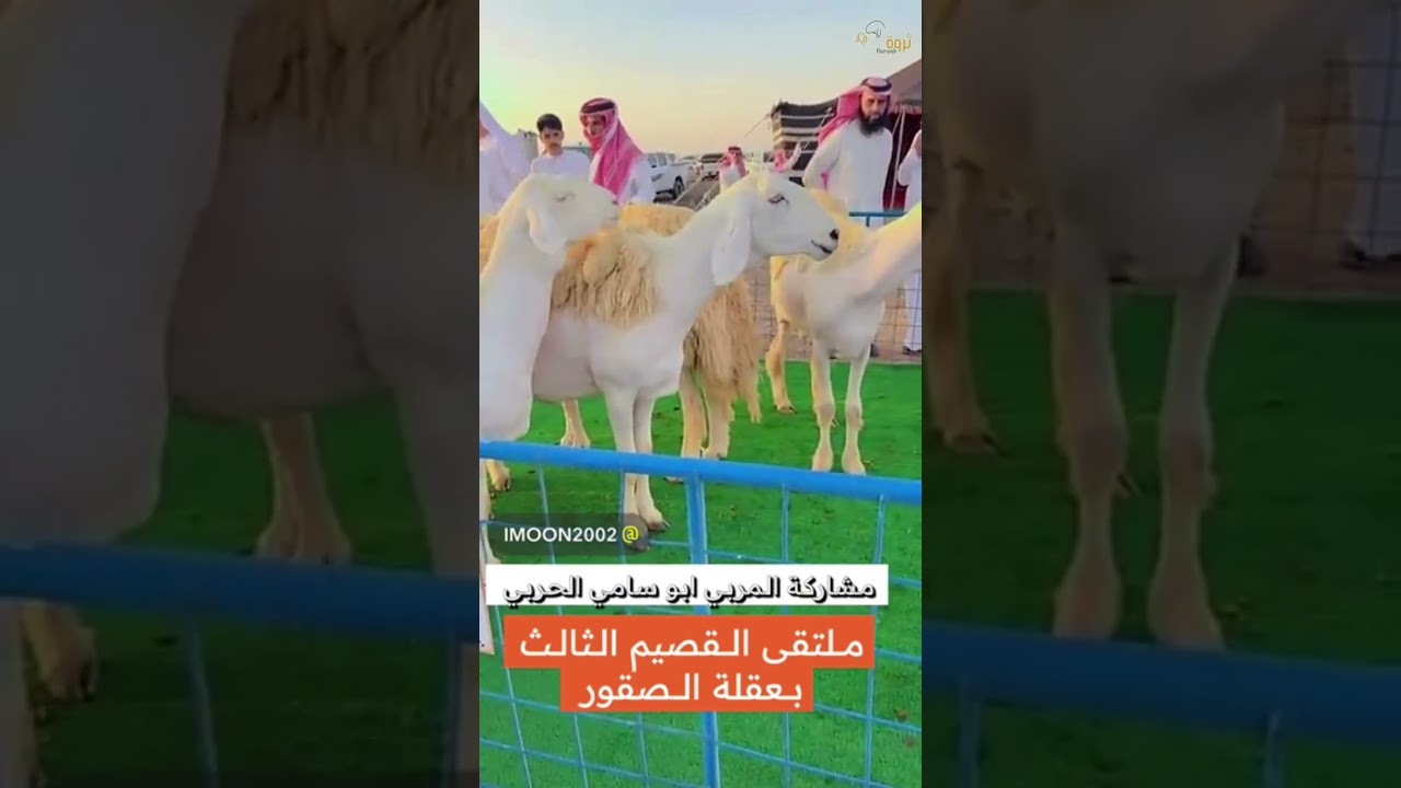 ملتقى القصيم الثالث بعقلة الصقور ١