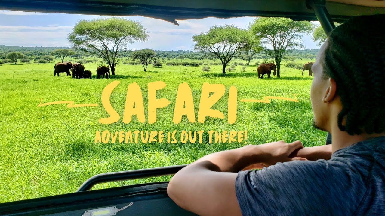 We Saw the BIG FIVE on a Tanzania Safari - The Most AMAZING Experience Ever!