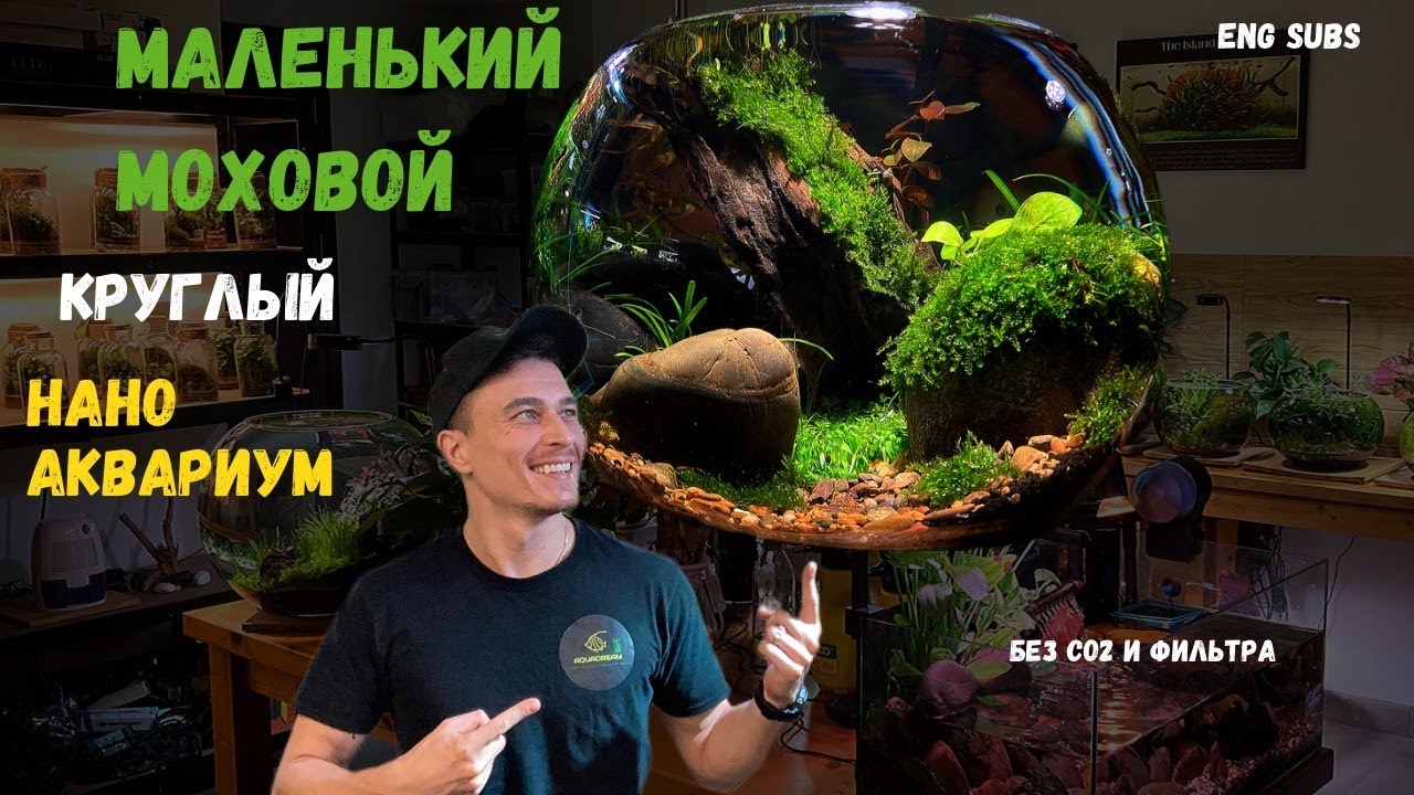 МОХОВОЙ КРУГЛЫЙ НАНО АКВАРИУМ | NANO MOSS BOWL AQUARIUM | TUTORIAL