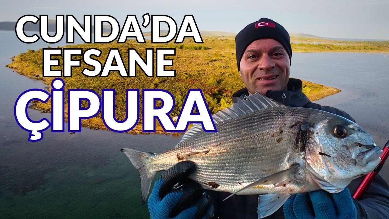 ZORLU ŞARTLARDA KAMP VE EFSANE ÇİPURA