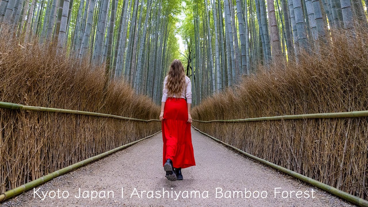 Kyoto Japan | Arashiyama Bamboo Forest Relaxation Video