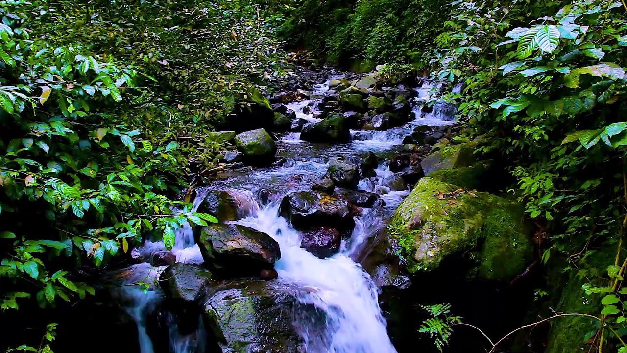 Mountain River Flow Sounds for Night Relaxation and Peaceful Sleep Environment