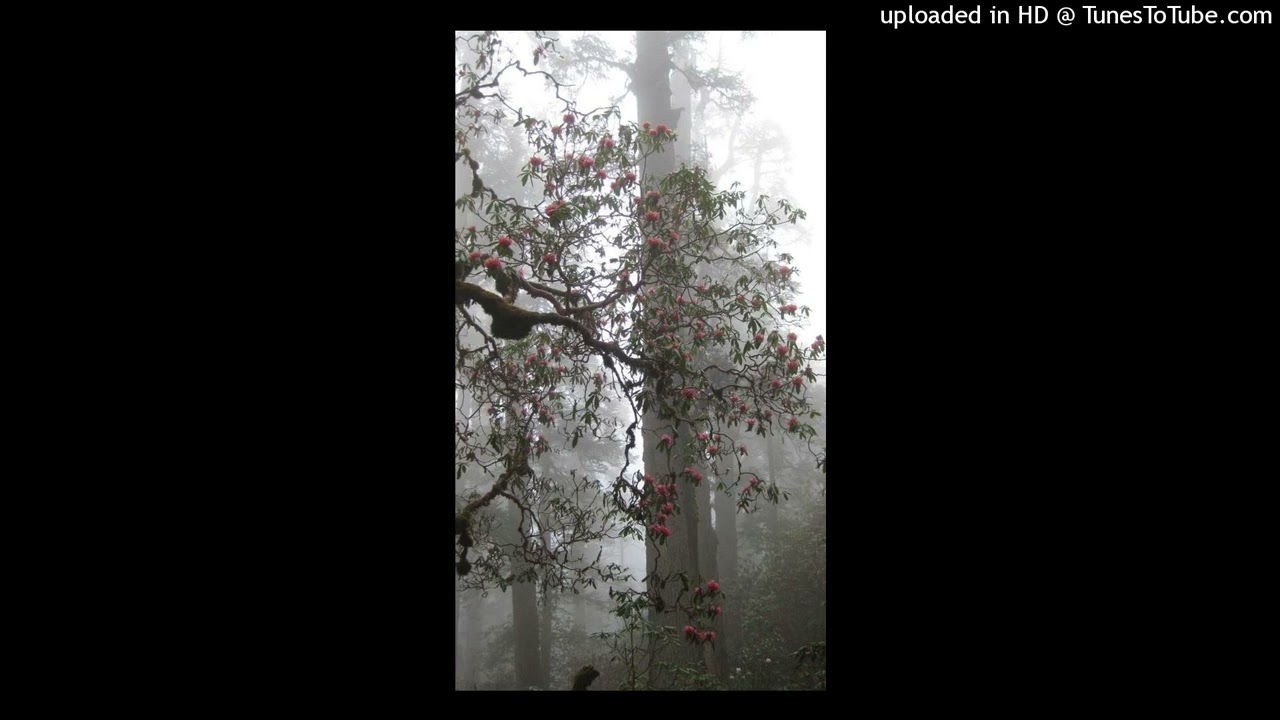 [FREE] Dom Corleo x Hardrock x imogen heap type beat - 
