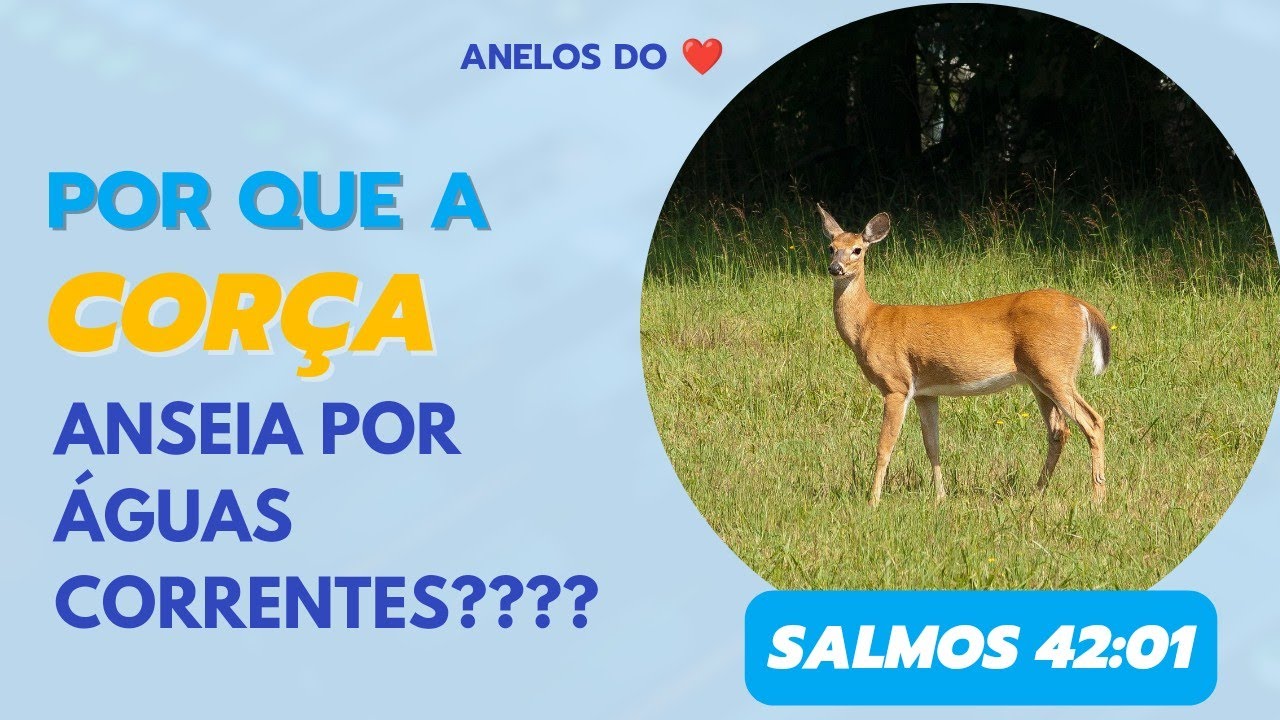 Por que a corça anseia pelas águas correntes?