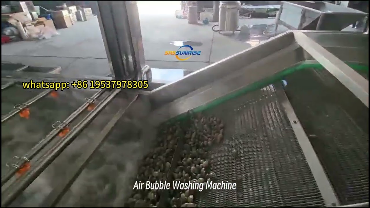 Continuous Conveyor Belt Washing Machine