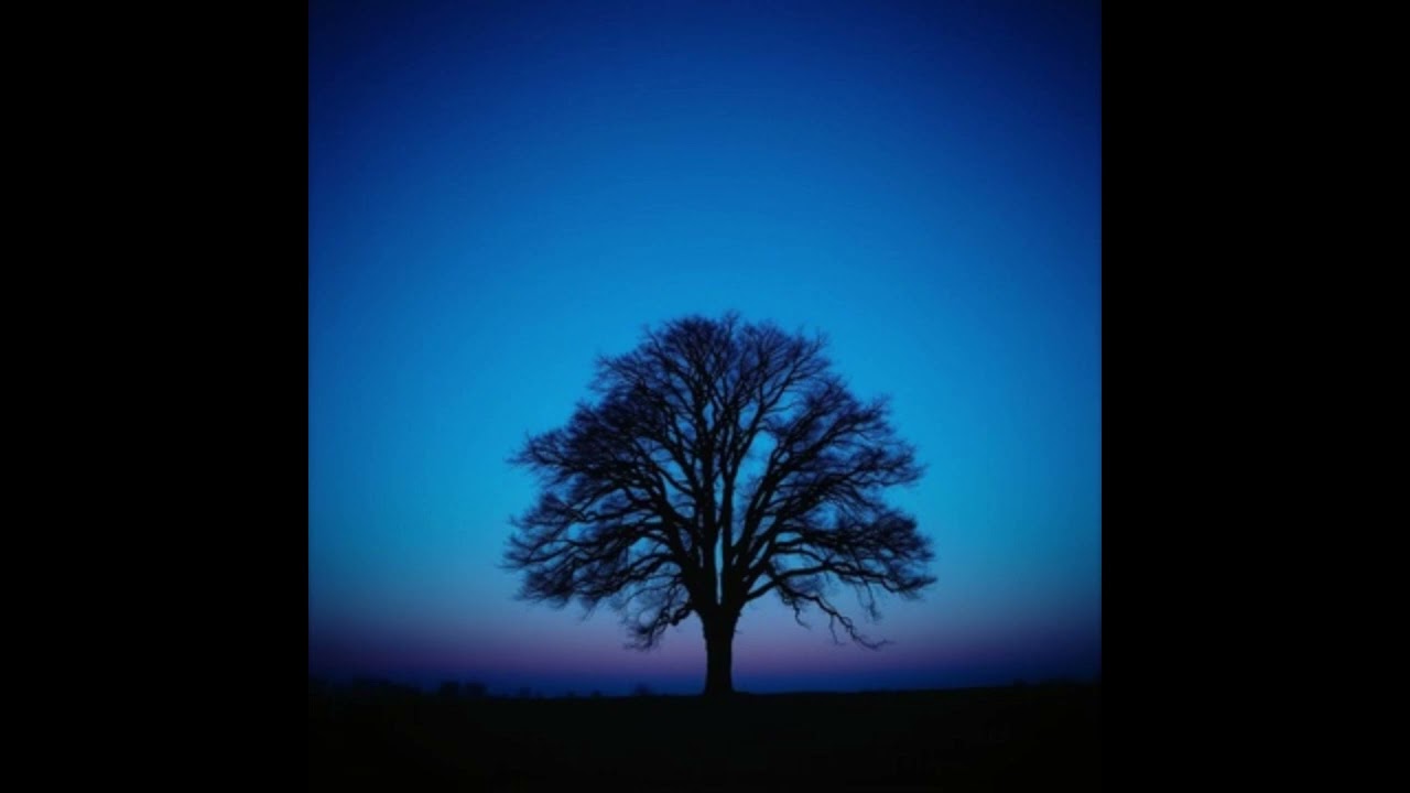 Still Standing Tall (Alt Pop ver.) | Therapeutic Piano Tempo for Resilience & Strength