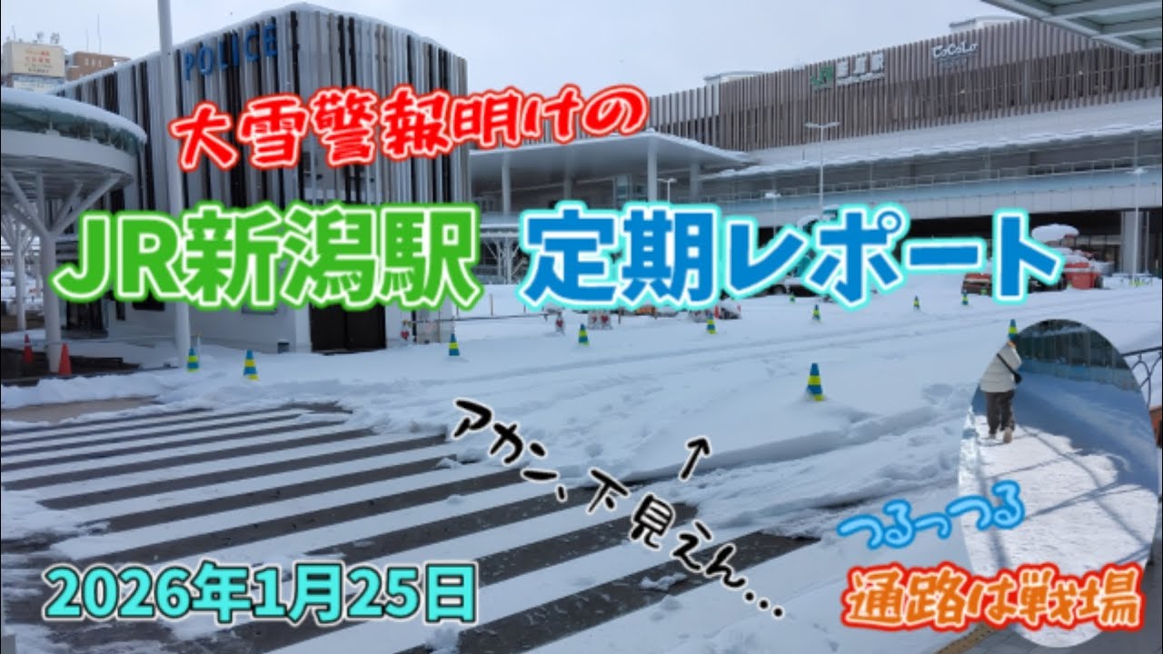 【今季最大の大雪】2026年1月25日 JR新潟駅定期レポート！真冬の駅前広場を命懸けで歩く【工事の進捗】