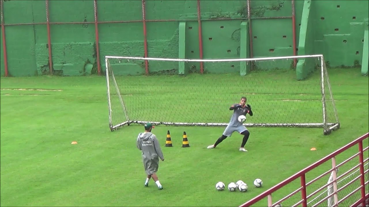 Treinamento de Goleiro Profissional