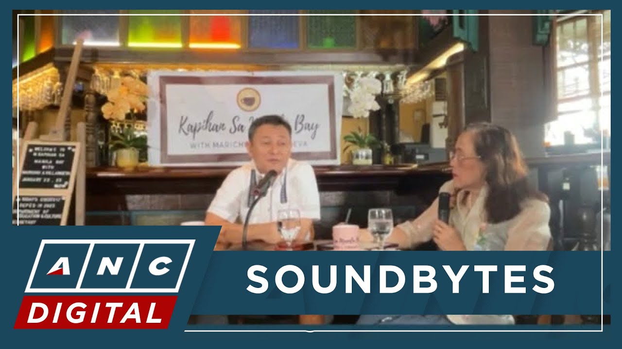 Angara on sex ed: What is taught must be age-appropriate | ANC